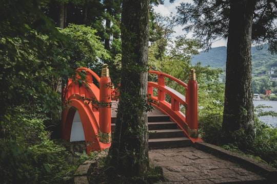 red metal bridge over body of water during daytime in Hakone Japan