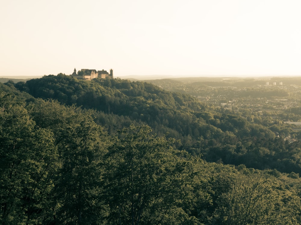 green trees on mountain during daytime