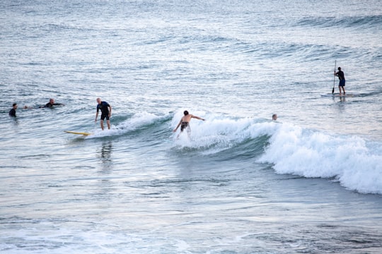 2 men surfing on sea waves during daytime in Burleigh Heads QLD Australia