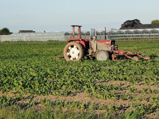 red tractor on green grass field during daytime