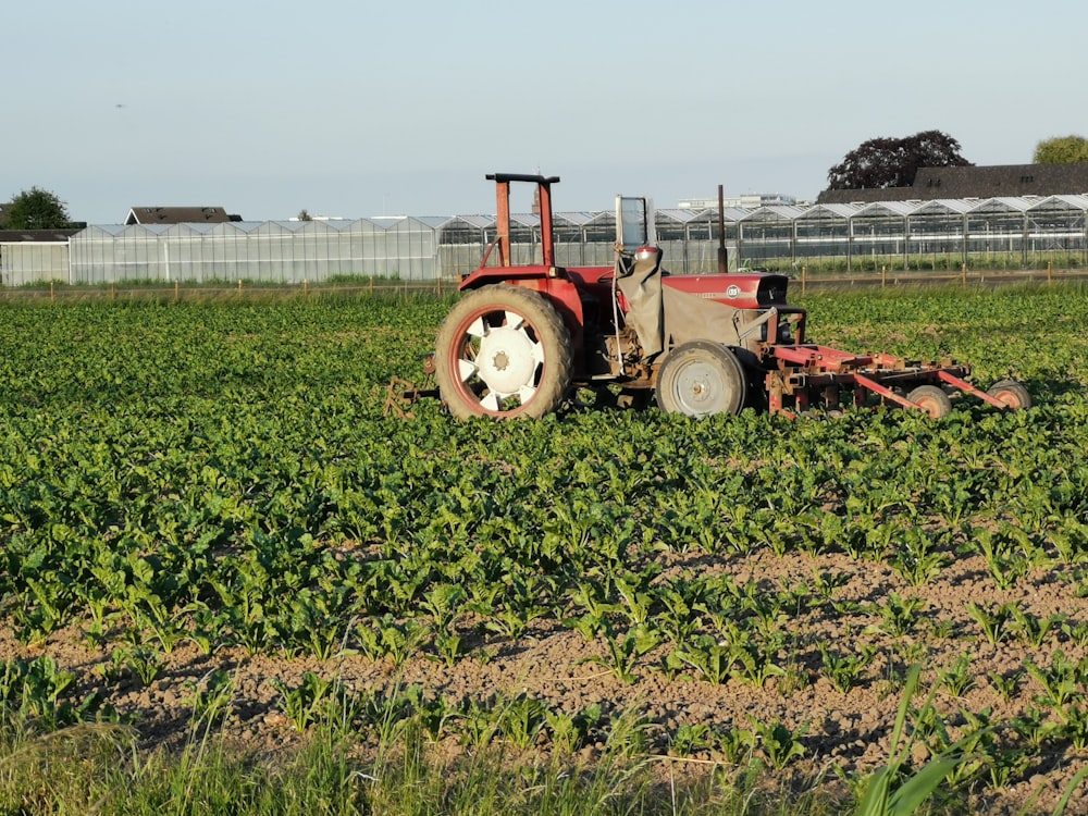 red tractor on green grass field during daytime