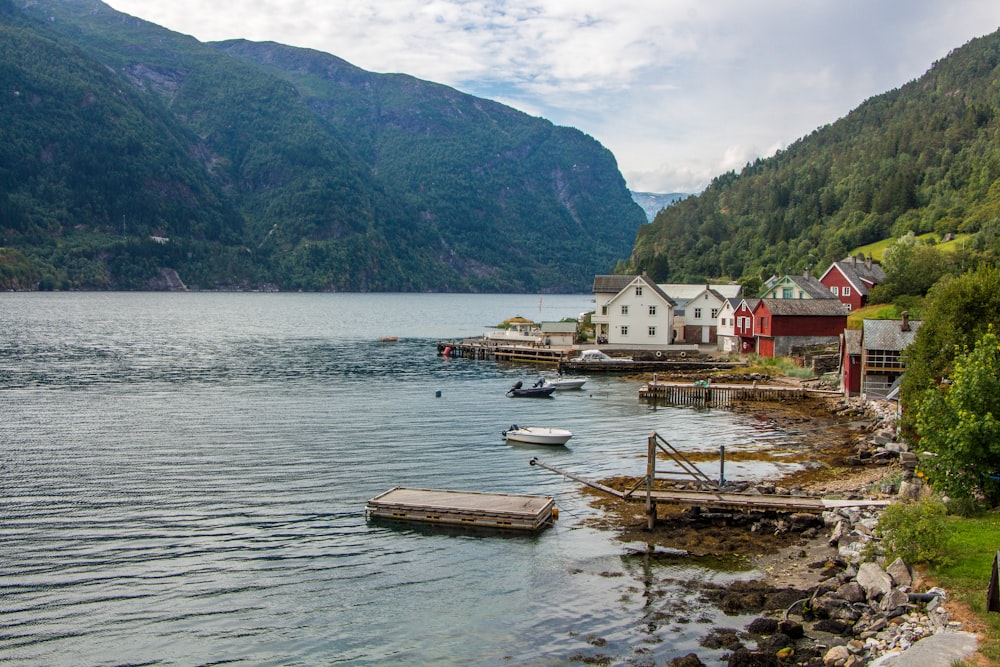 white and red houses beside body of water during daytime