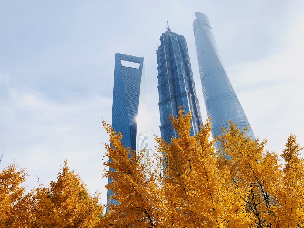 high rise building near trees during daytime