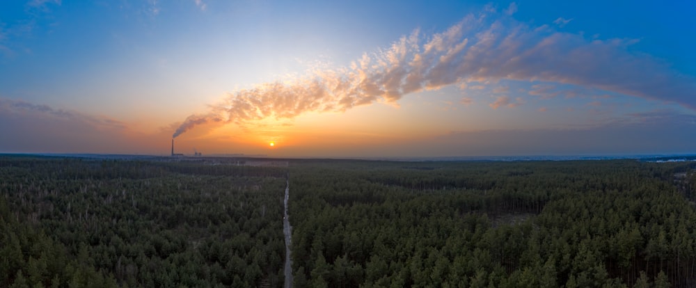 green trees under blue sky during sunset