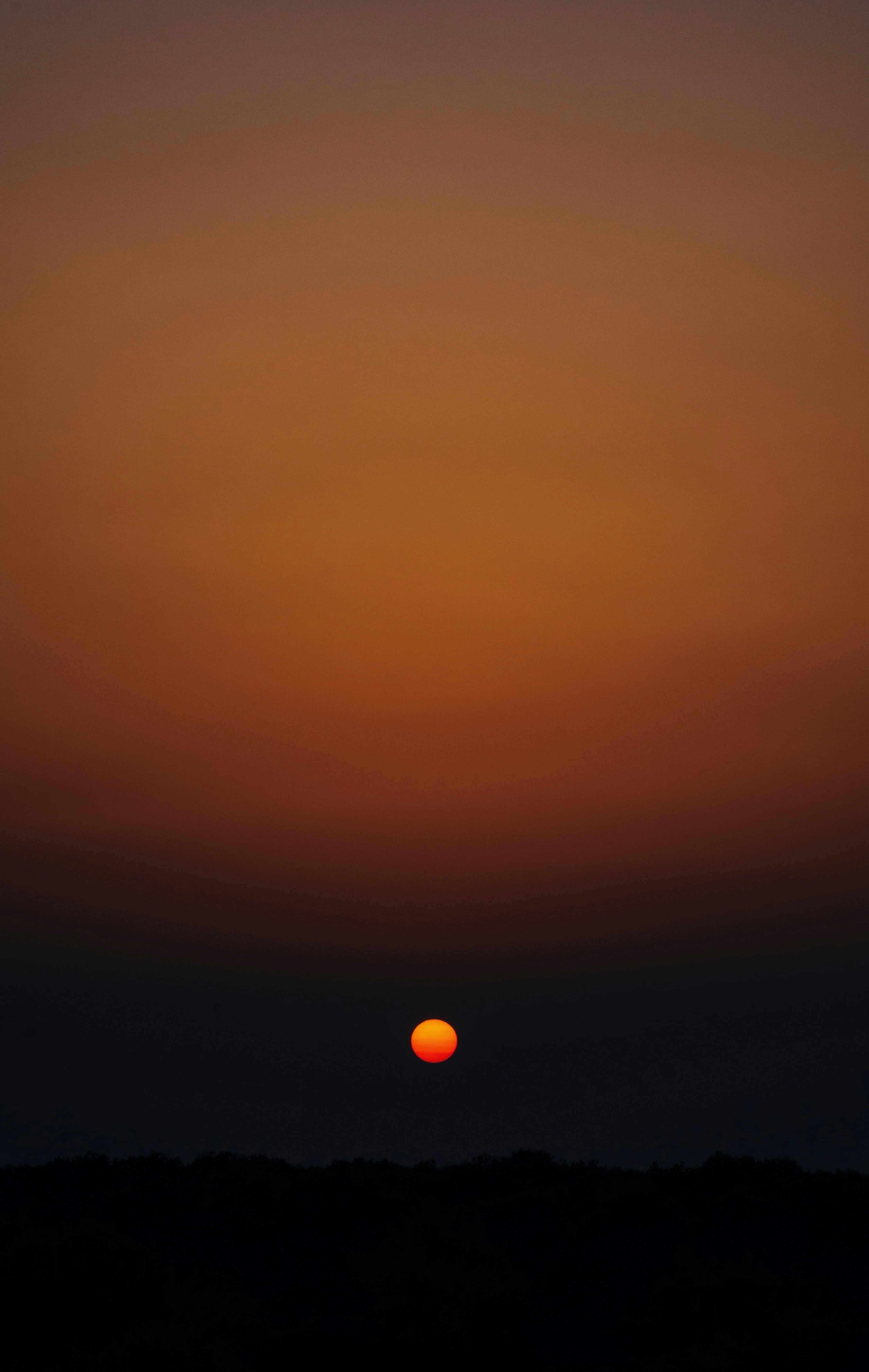 Photo by alirezavalizadeh