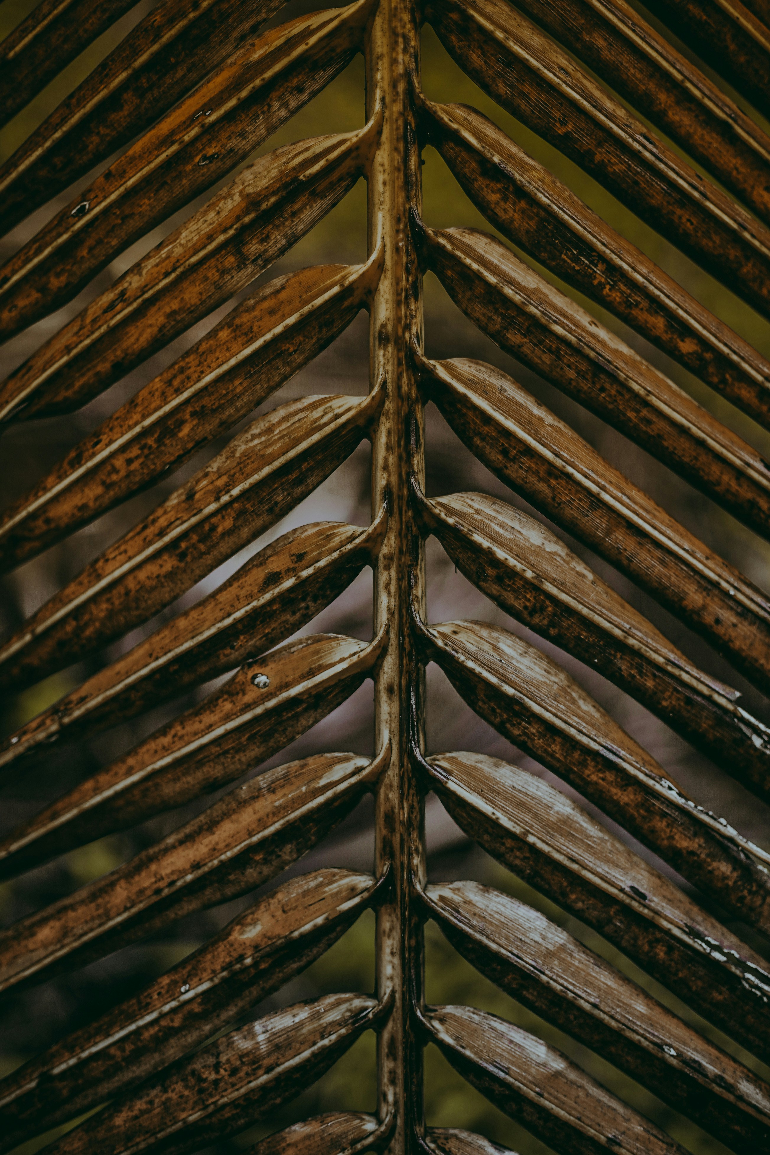 Photo by imthiyas_iqbal