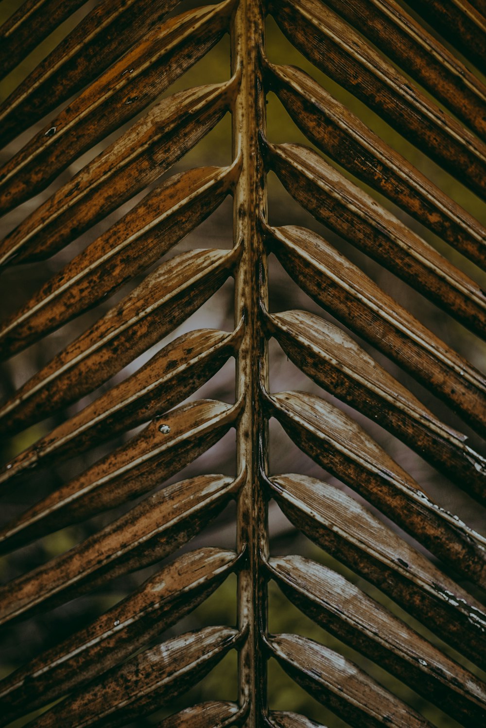 brown wooden frame in close up photography