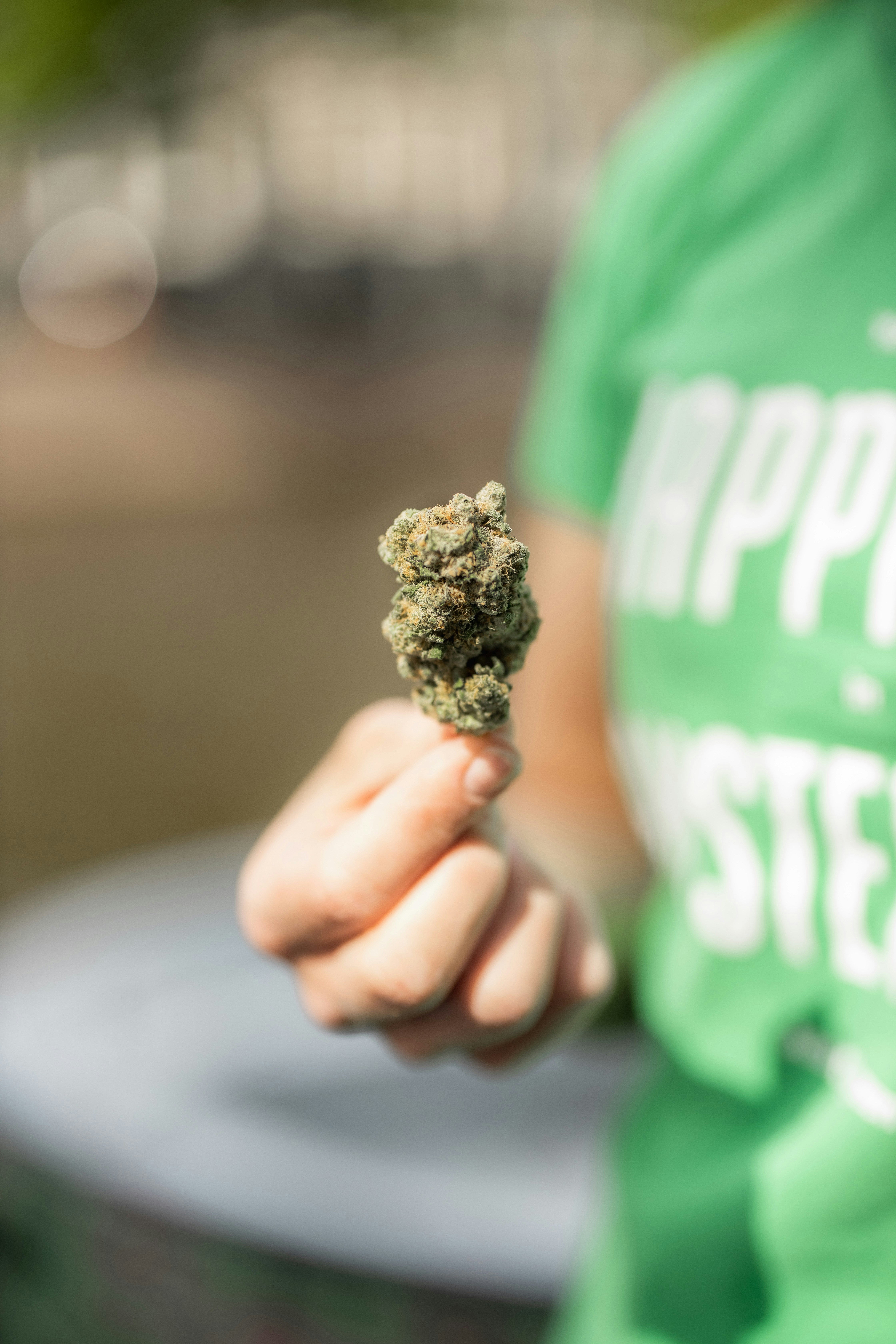Orang yang memegang Green Kush dalam Fotografi Close-Up