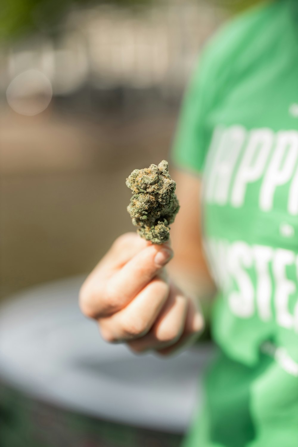 person holding green kush in close up photography