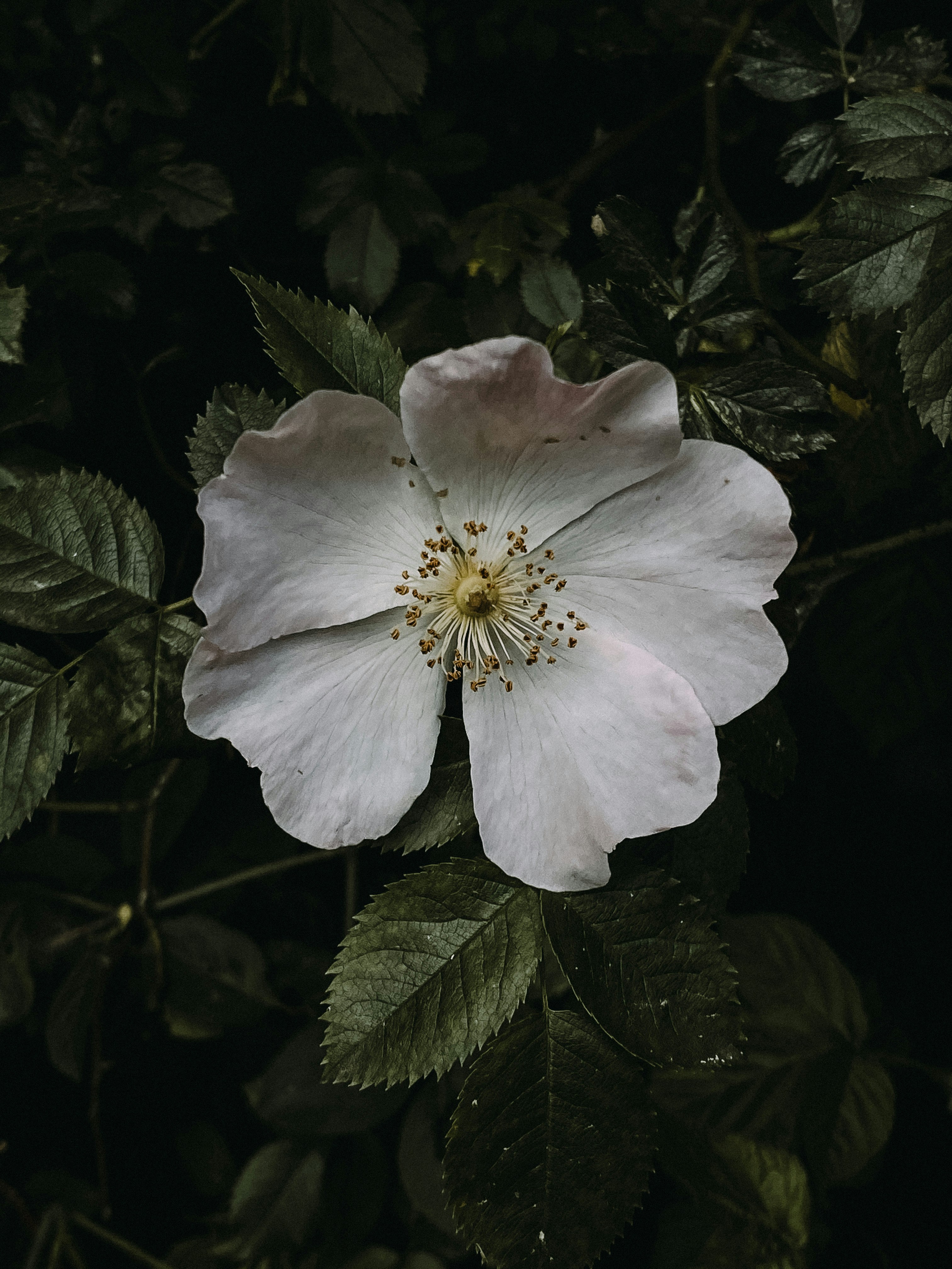 Photo by emfotografie