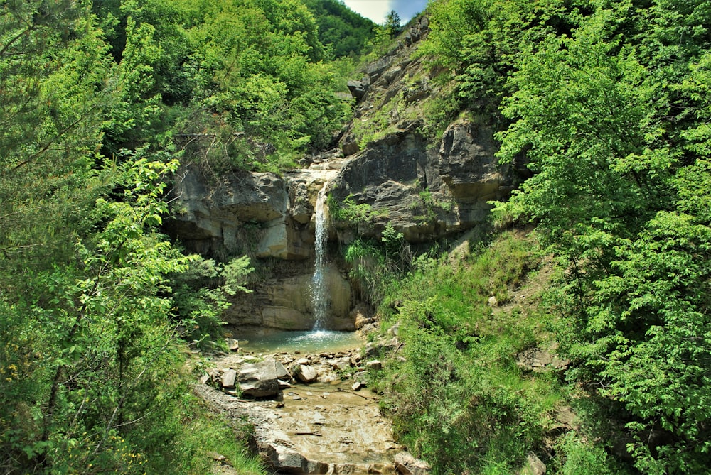 waterfalls in the middle of green trees