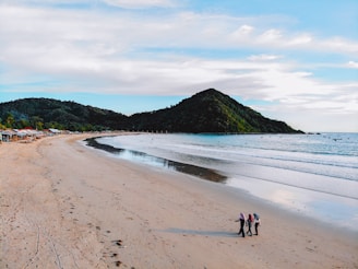 people on beach during daytime