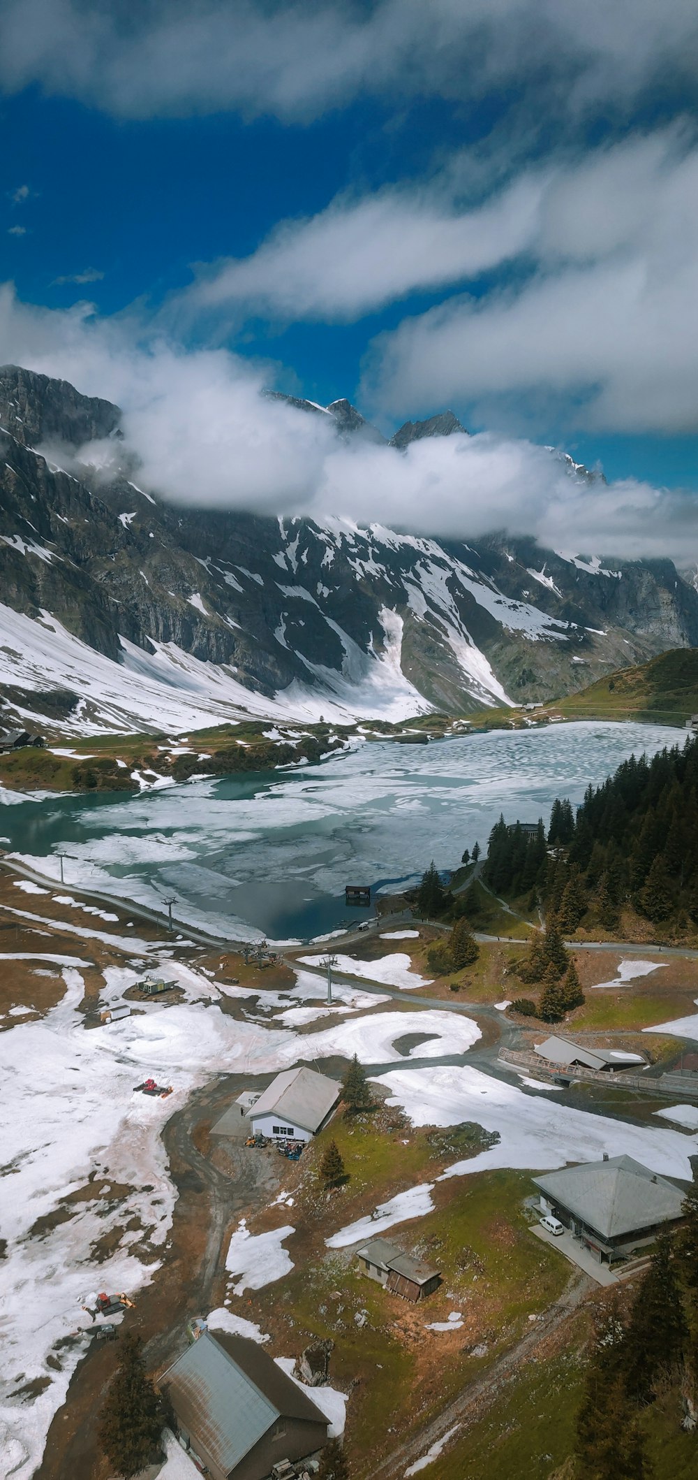 green trees near snow covered mountain during daytime