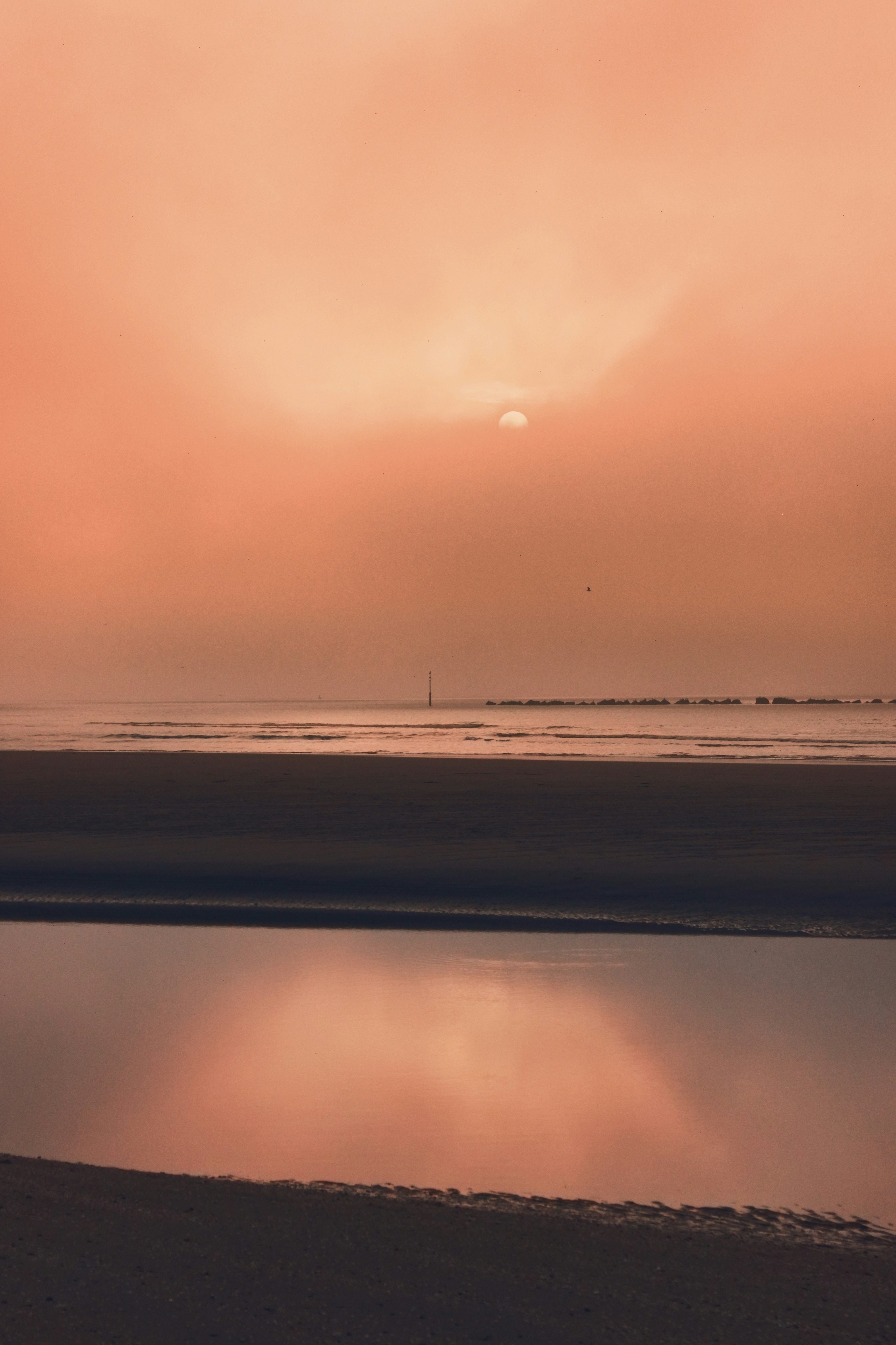 Photo by hannahrdg