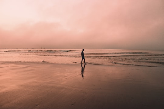 silhouette of person walking on beach during sunset in Dunkerque France