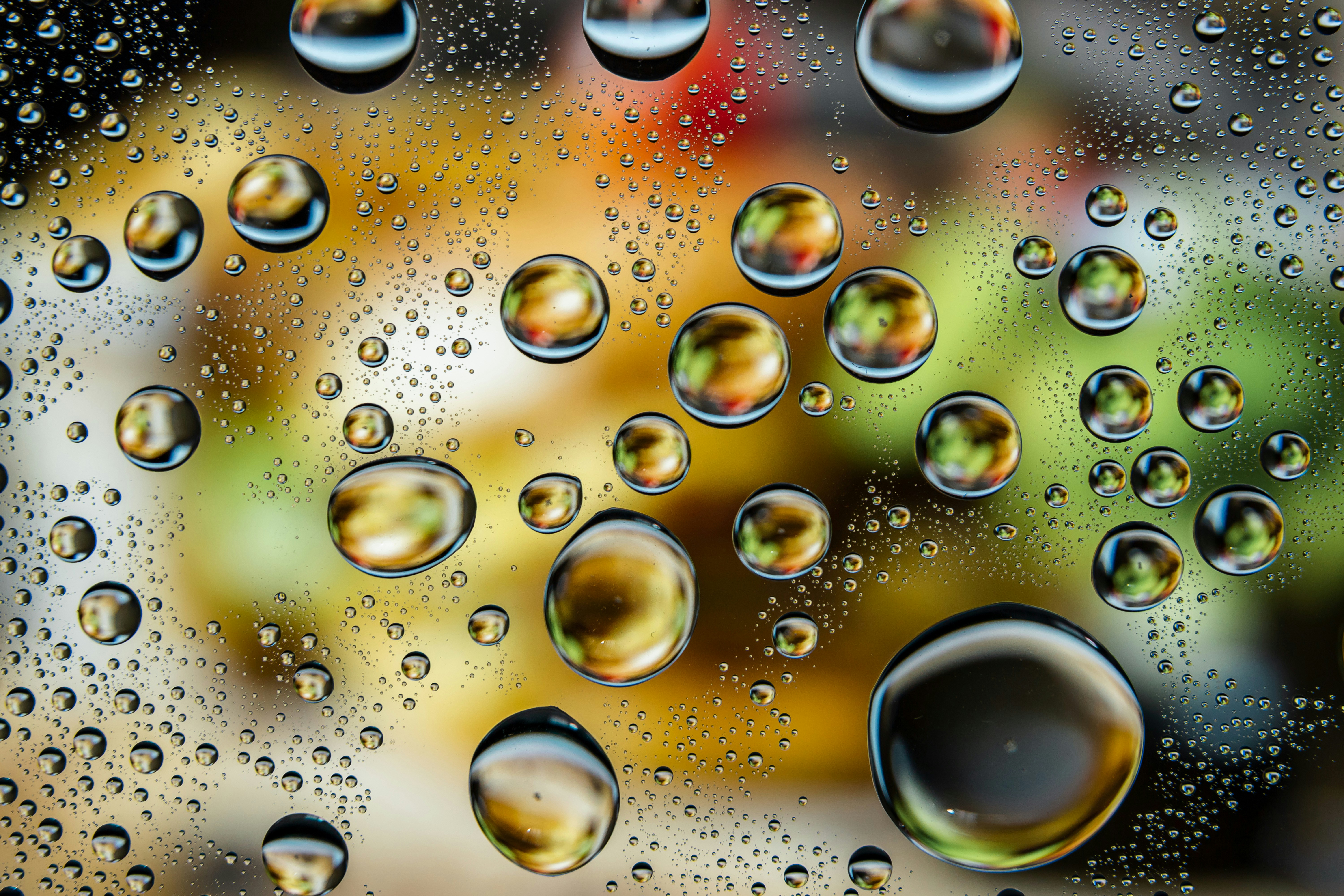 The Real Cost of Inequality: How Income Gaps Slow Growth