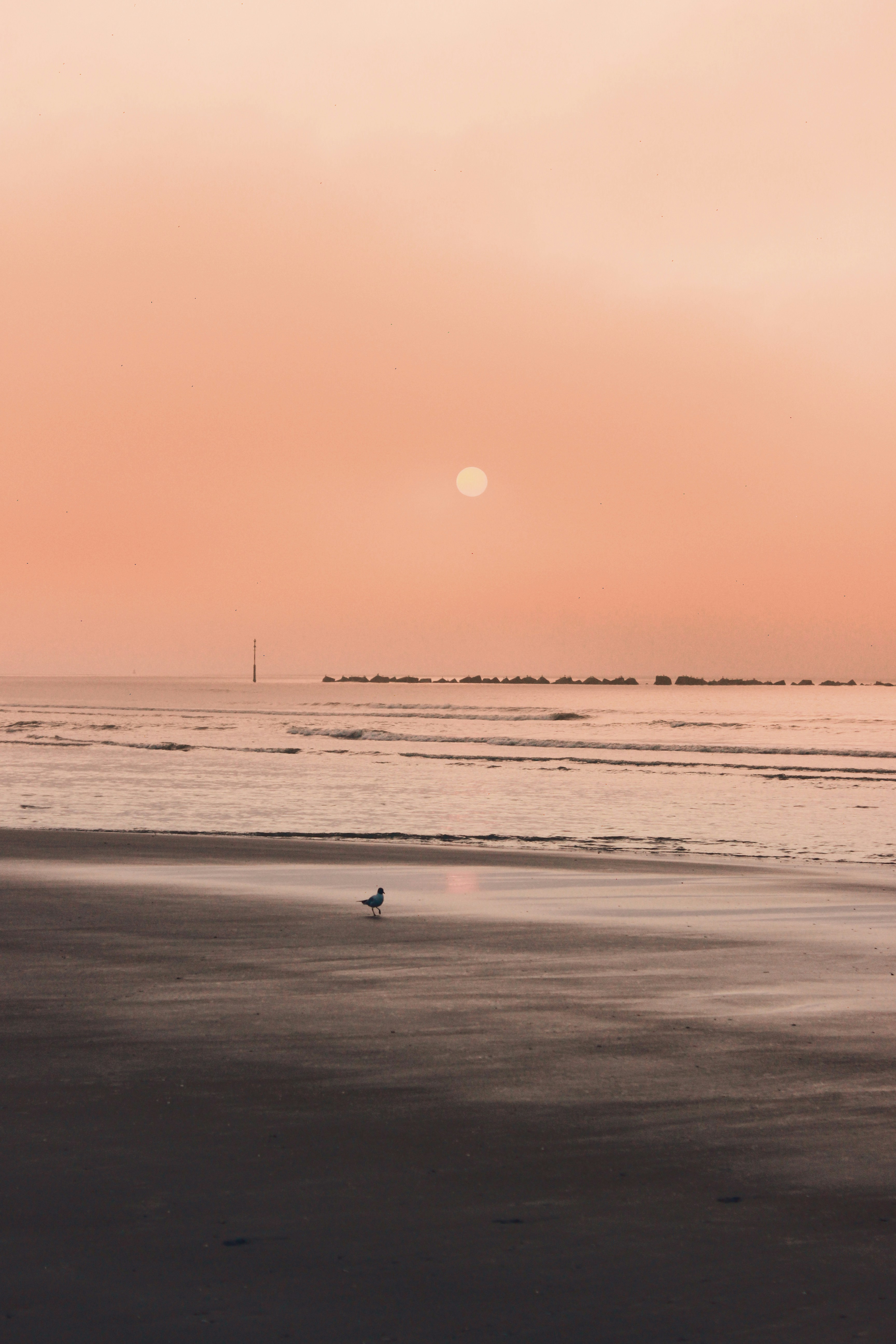 Photo by hannahrdg