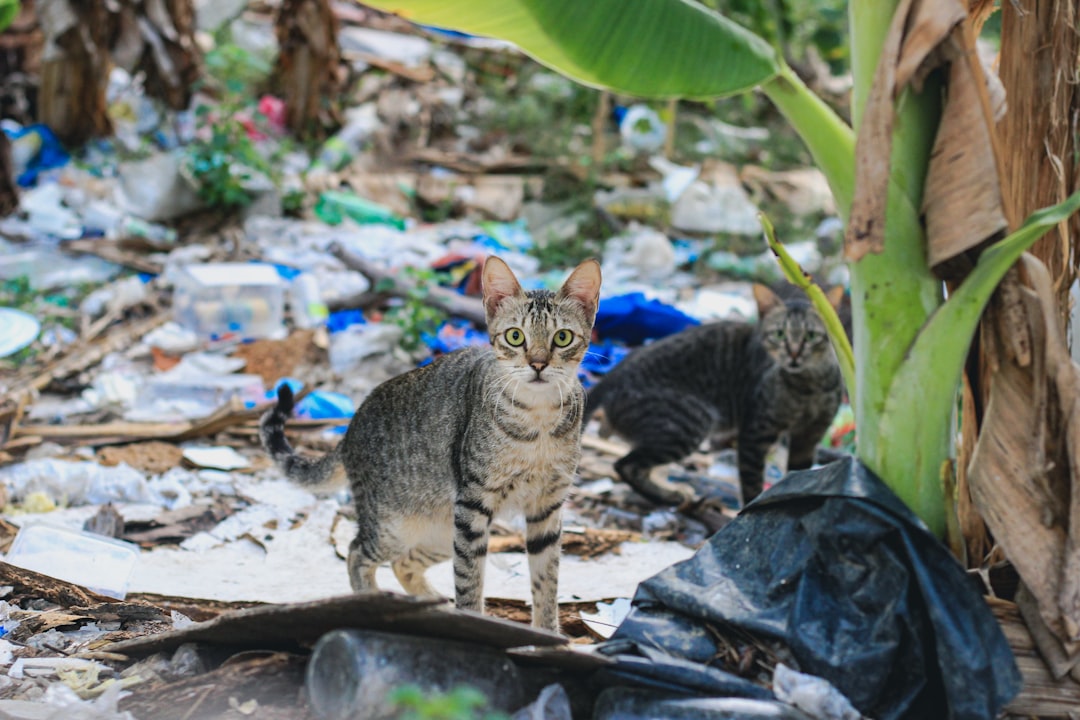 Wildlife photo spot Cebu Sibonga