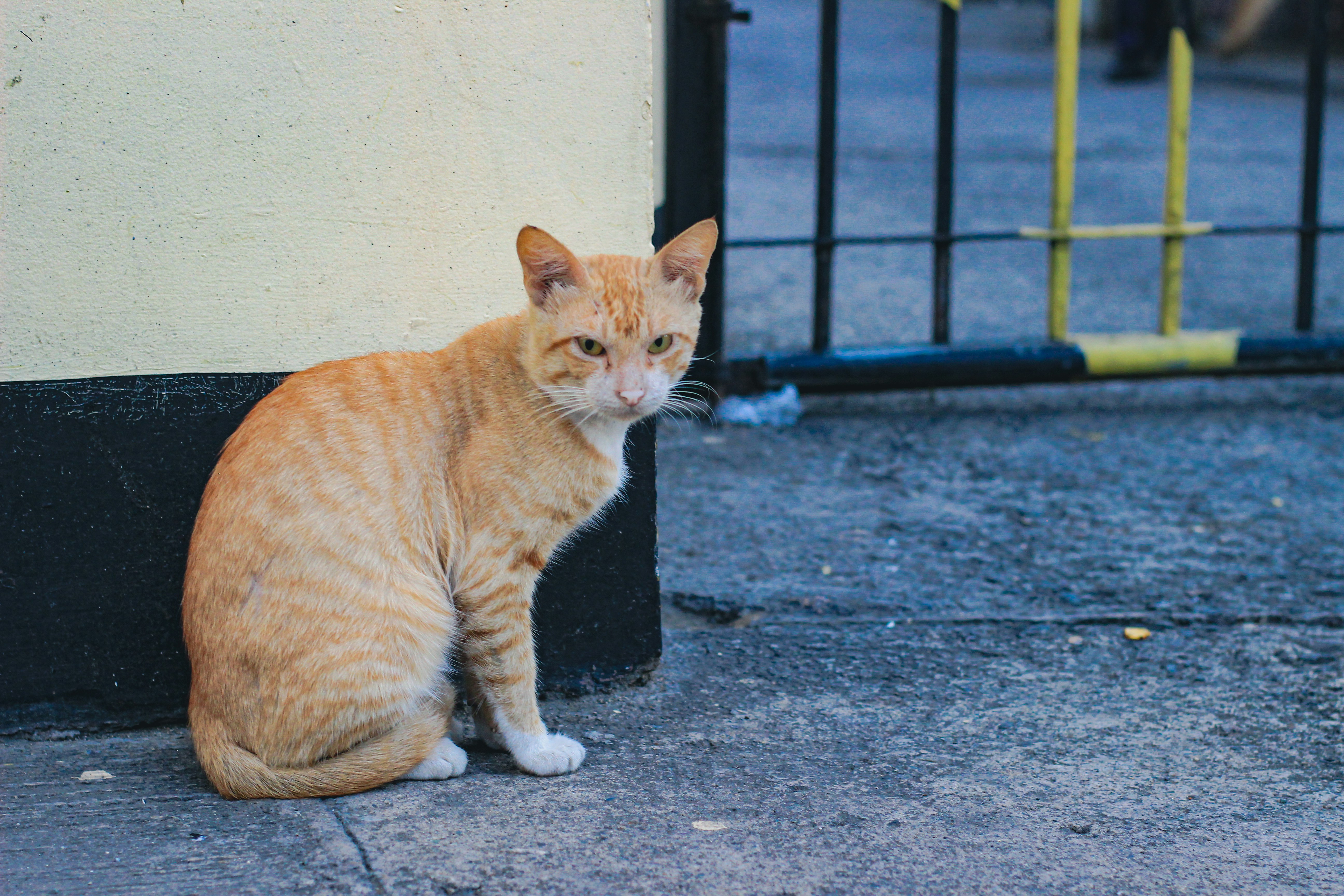 Photo by namu_photograph