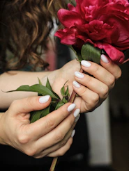 person holding red tulips in close up photography
