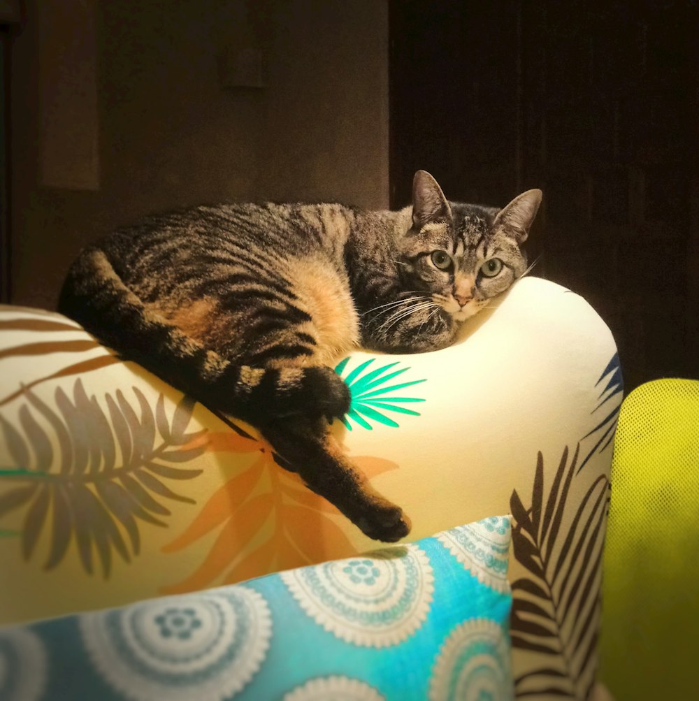 brown tabby cat on white and green floral sofa