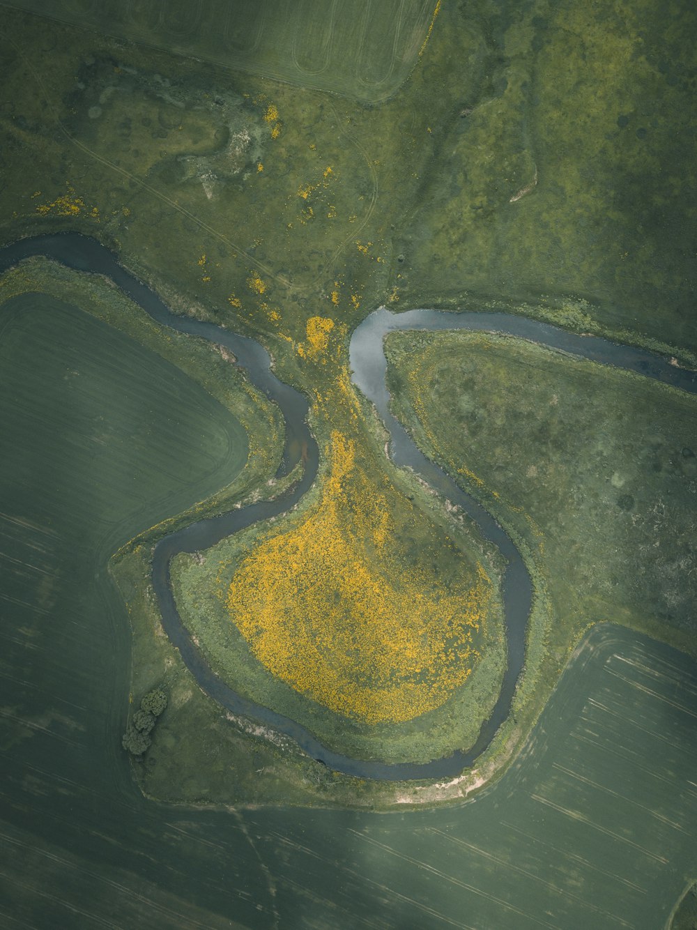 Vue aérienne de la rivière Verte et de la rivière Jaune