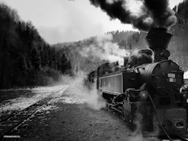 A vintage steam locomotive emits billowing smoke and steam as it sits on a snowy track surrounded by a forest of tall trees. The train appears to be stationary, with the landscape fading into the background, portraying a wintry and nostalgic scene.