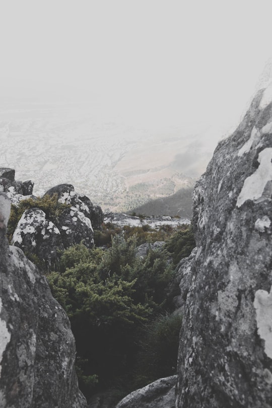 gray rocky mountain during daytime in Table Mountain South Africa