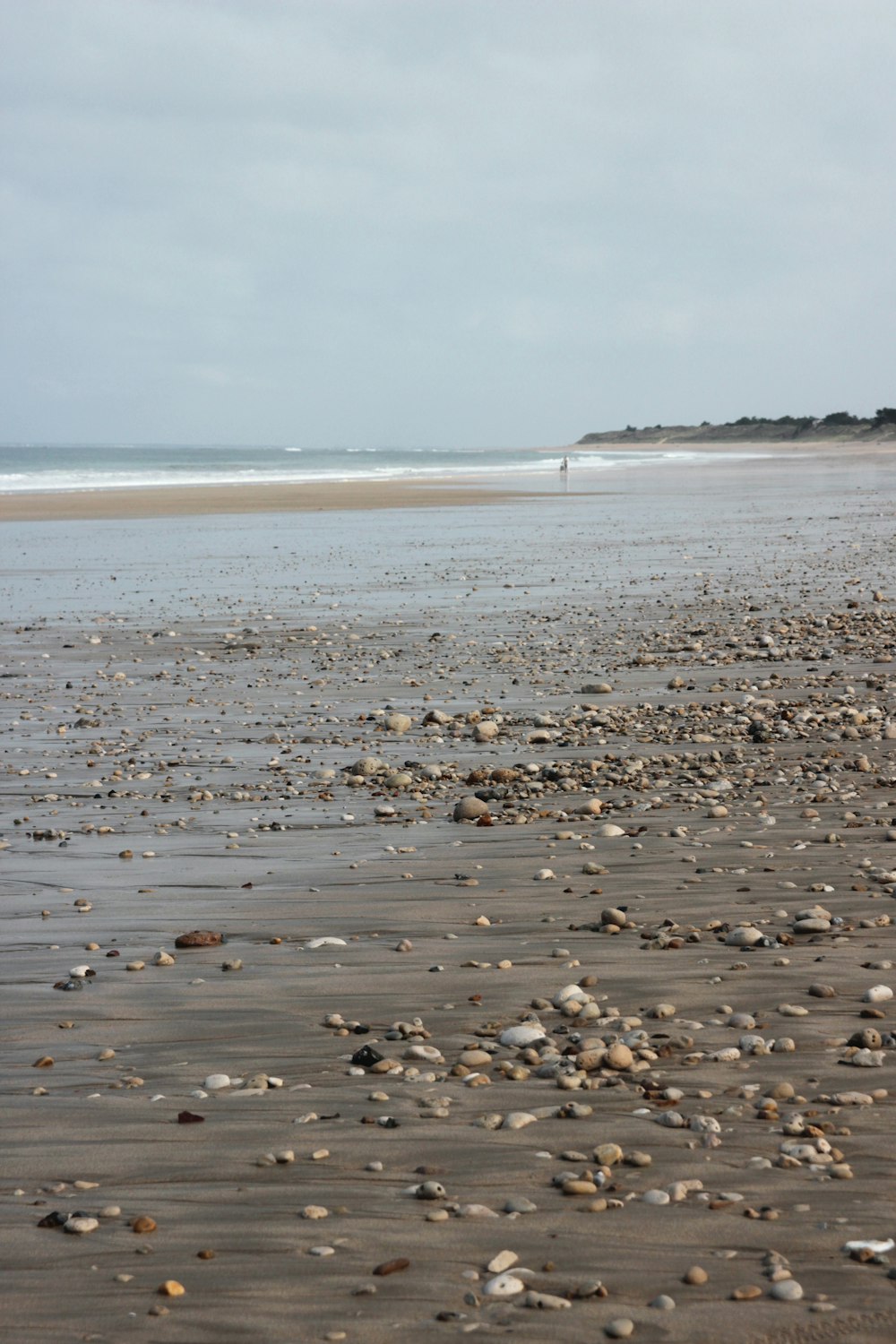 pedras marrons e pretas na costa durante o dia