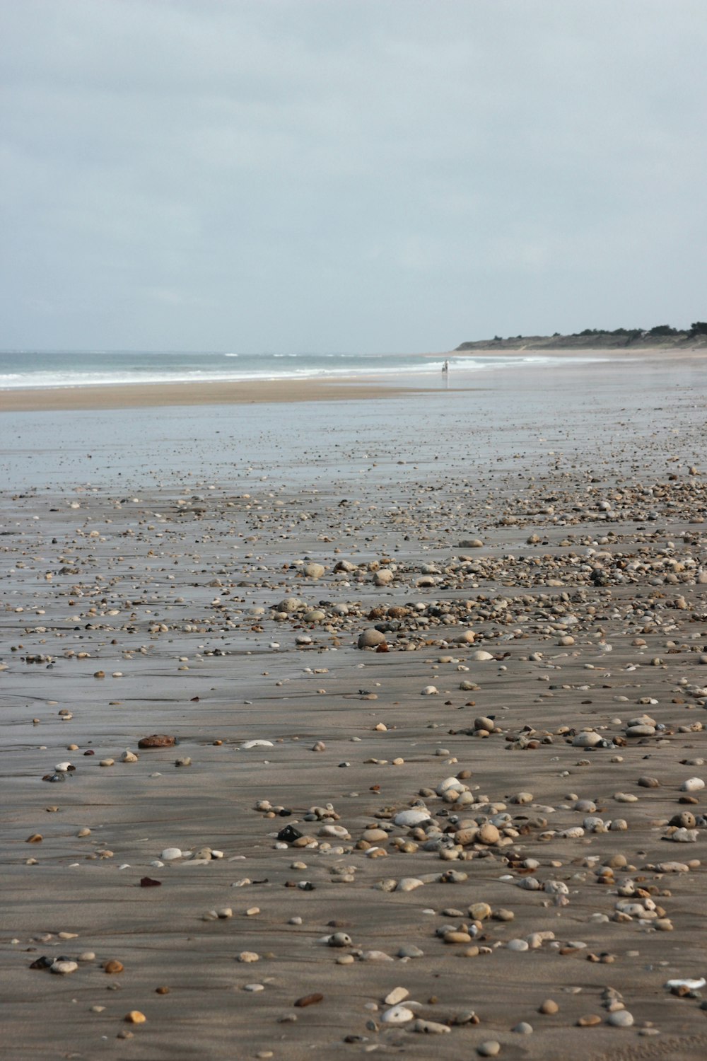 brown and black stones on seashore during daytime