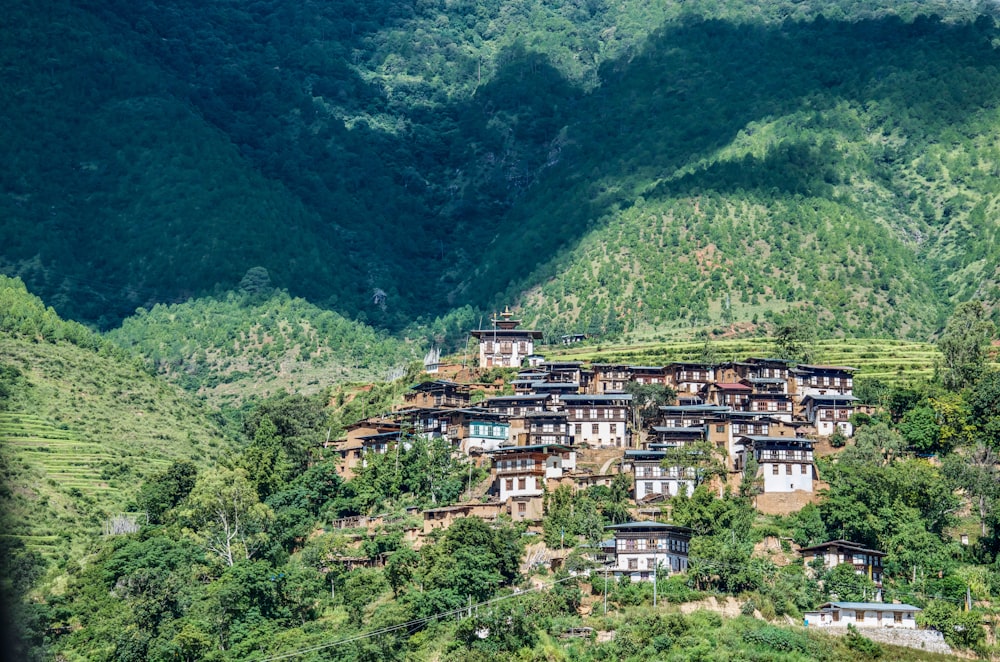 white and brown concrete buildings on mountain