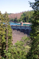 A dam controlling water flow surrounded by lush greenery.