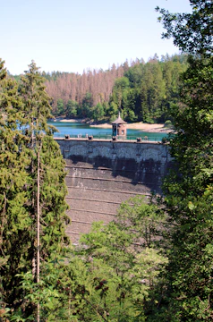 A dam controlling water flow surrounded by lush greenery.