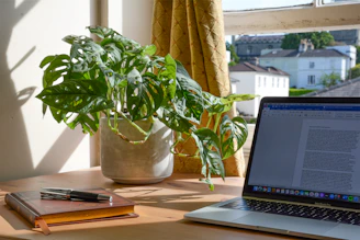 A calm home office desk with a phone, notebook, and a small potted plant, bathed in soft natural light.