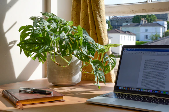 A sleek, modern office desk with a laptop, coffee cup, and a small plant, bathed in natural light.
