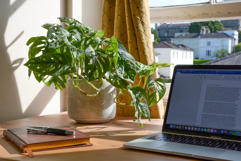 A sparkling clean modern office desk with a laptop and a small plant, bathed in natural light.