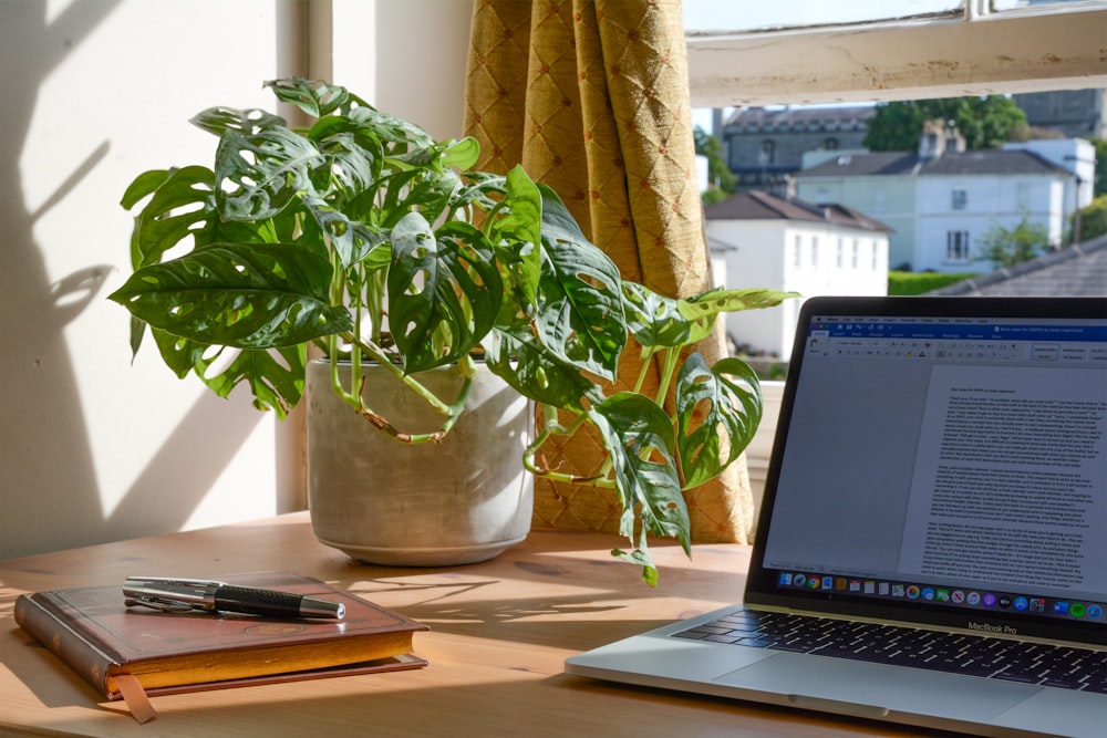 MacBook Proは、テーブルの上の緑の植物のそばに