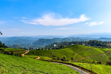 green grass field near mountain under blue sky during daytime