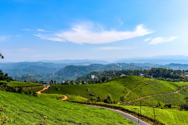 green grass field near mountain under blue sky during daytime