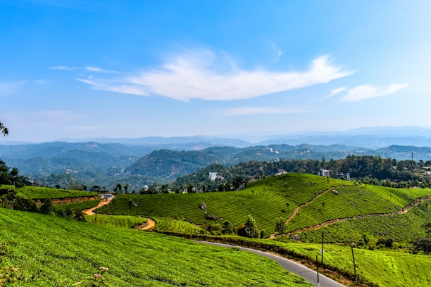 green grass field near mountain under blue sky during daytime