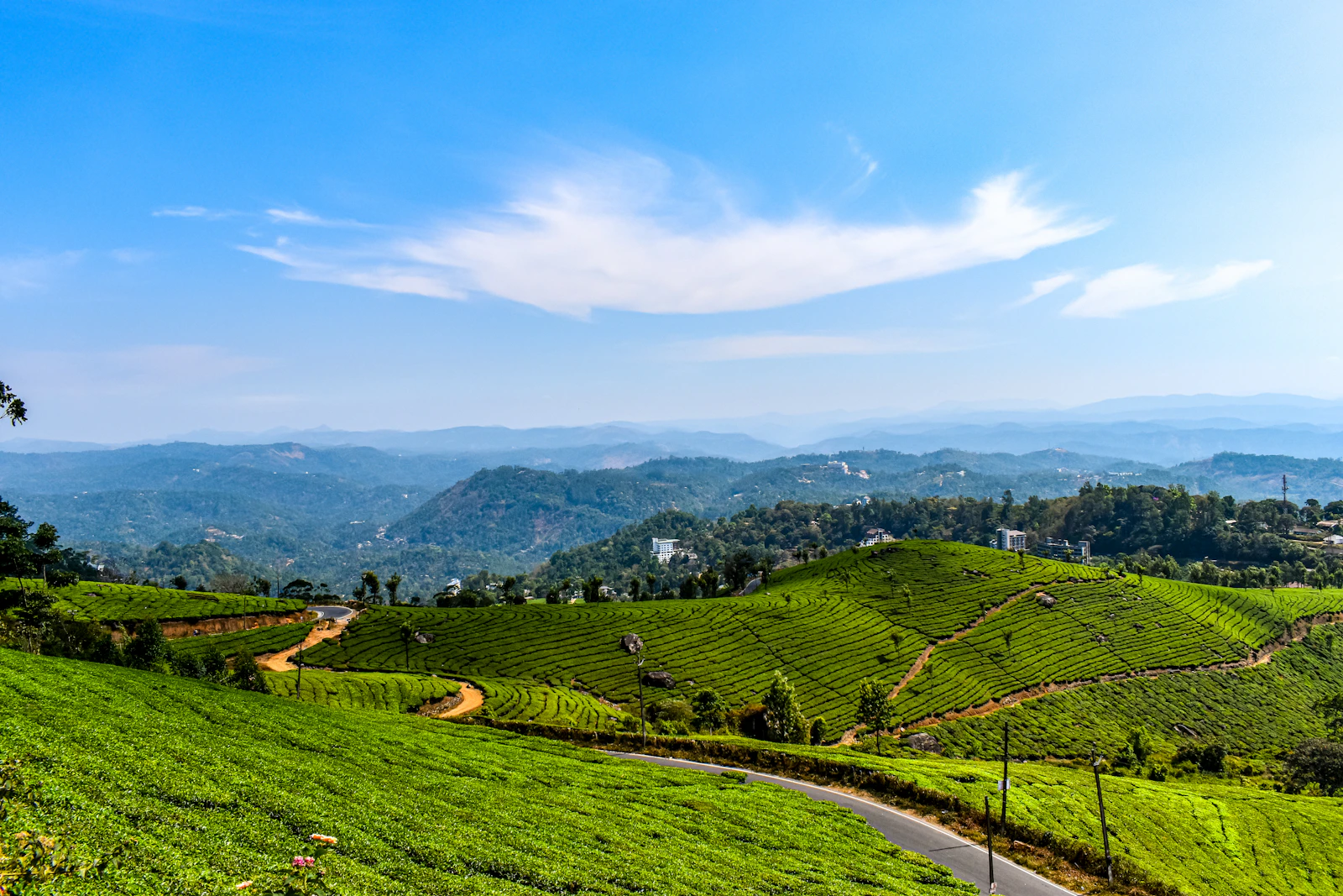 Munnar, Kerala