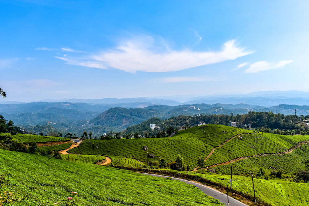 Munnar