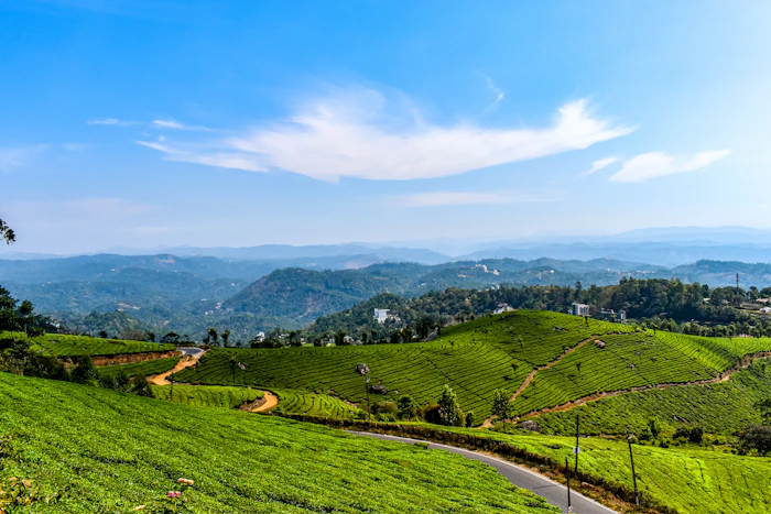 Best Laptop Friendly Cafes in Munnar With Fast Wifi