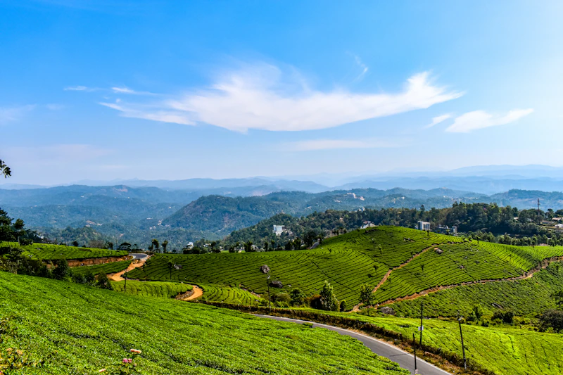 Best Hidden Speakeasies in Munnar You Need a Tip to Find