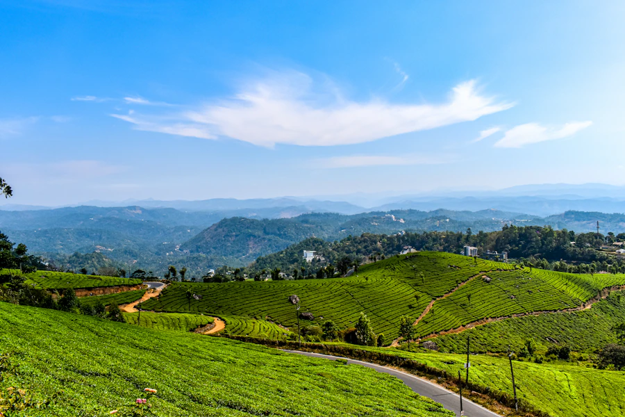 Munnar high-range scenery
