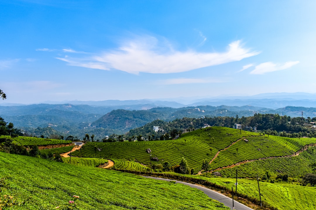 Hill station photo spot Munnar Periyar Tiger Reserve