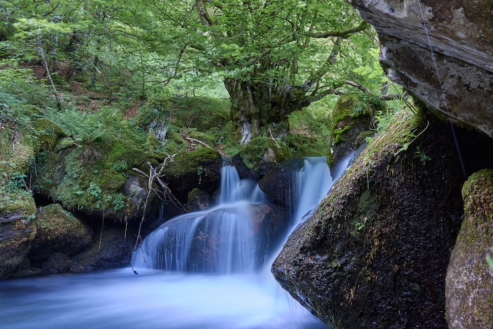 water falls in the middle of the forest