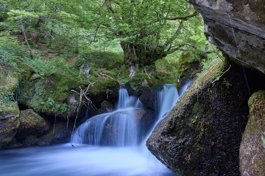 water falls in the middle of the forest in Aulus-les-Bains France