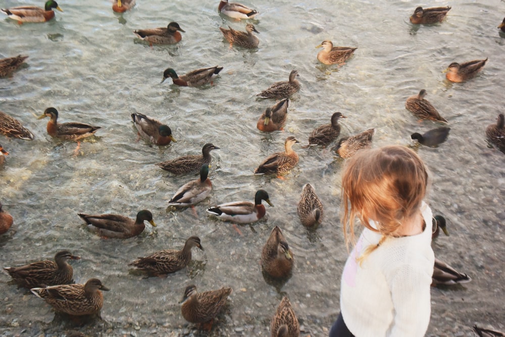 person in white shirt holding brown and black duck