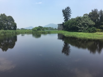 green grass field near lake during daytime